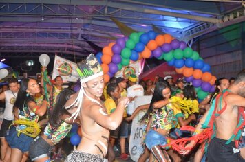 Foto - Tupã Folia 2014