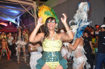 Foto - Tupã Folia 2014