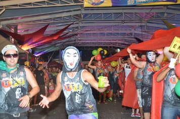 Foto - Tupã Folia 2014