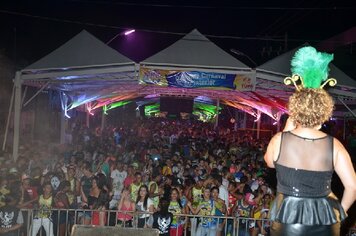 Foto - Tupã Folia 2014