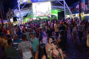 Foto - Tupã Folia 2014