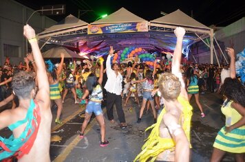 Foto - Tupã Folia 2014