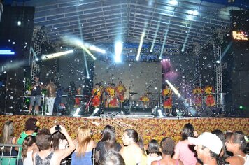 Foto - Tupã Folia 2014