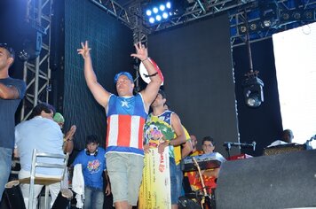 Foto - Tupã Folia 2014