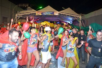 Foto - Tupã Folia 2014