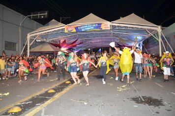 Foto - Tupã Folia 2014