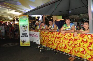 Foto - Tupã Folia 2014