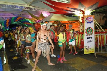 Foto - Tupã Folia 2014