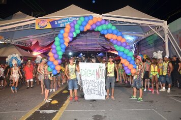 Foto - Tupã Folia 2014