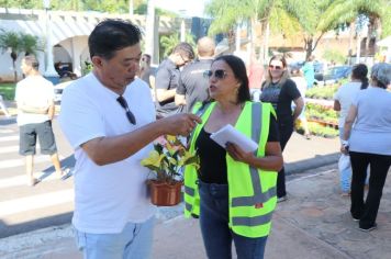 Equipes da Saúde realizam panfletagem sobre os escorpiões nos cemitérios