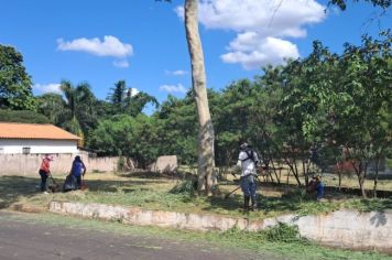 Limpeza de terrenos prossegue em toda cidade