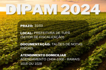 Prazo para entrega da DIPAM foi fixado para o dia 28 de março