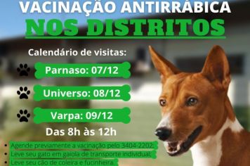 CCZ inicia vacinação antirrábica nos distritos a partir desta terça-feira