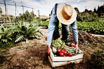 Prefeitura parabeniza agricultores pelo “Dia do Agricultor Familiar”