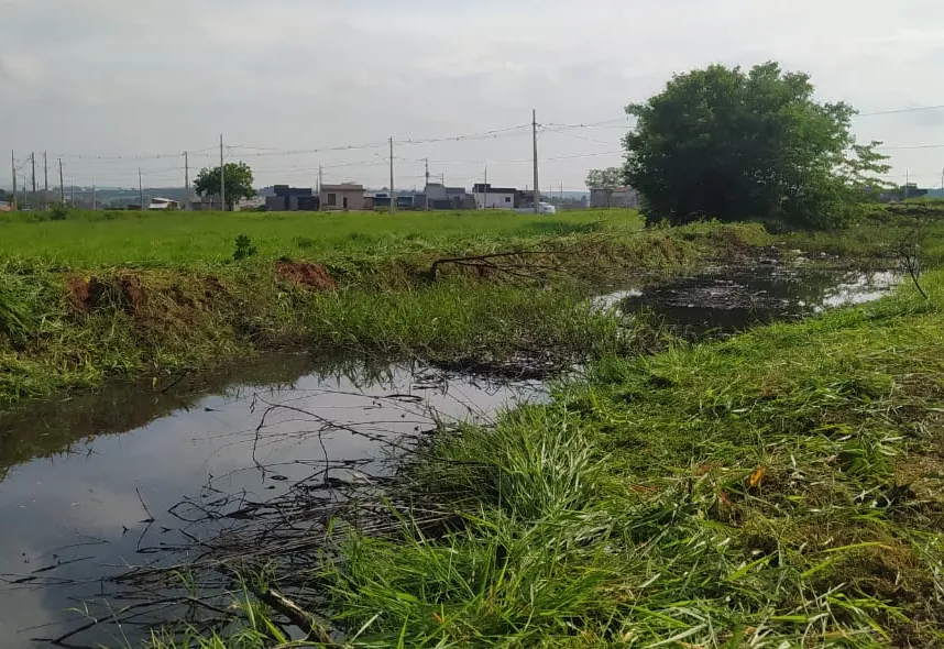 Manutenção em caixa de contenção de água pluvial evita proliferação de insetos nocivos
