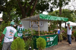 Feira do Produtor Rural oferece produtos de qualidade e preços acessíveis