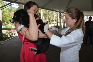 Dia “D” de vacinação imuniza mais de 9 mil animais